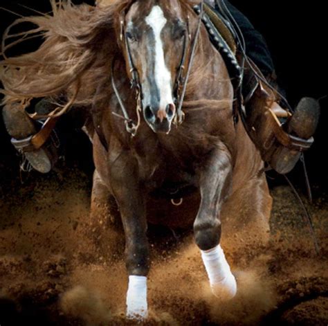 0 P- 46. . Top reining horses of all time